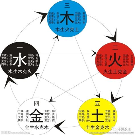 瑋意思五行|【瑋意思五行】解讀「瑋」字玄機：揭秘它的五行屬性和深刻涵義